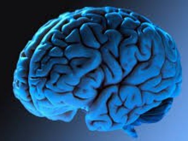 6 mitos sobre o corpo humano nos quais muita gente acredita