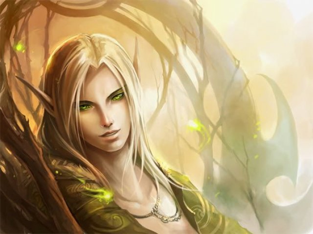 Elfo