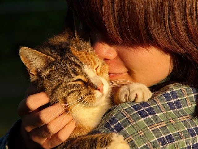Comunicador felino.
Você e seu gato estão em sintonia total.
Não é fácil perceber as mensagens sutis, mas você tem a sensibilidade para aproveitar bons momentos com seu gato.