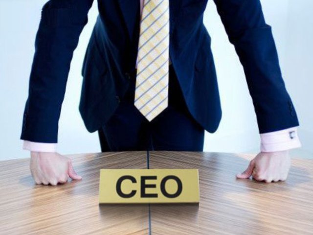 Diretor(a) Executivo(a)