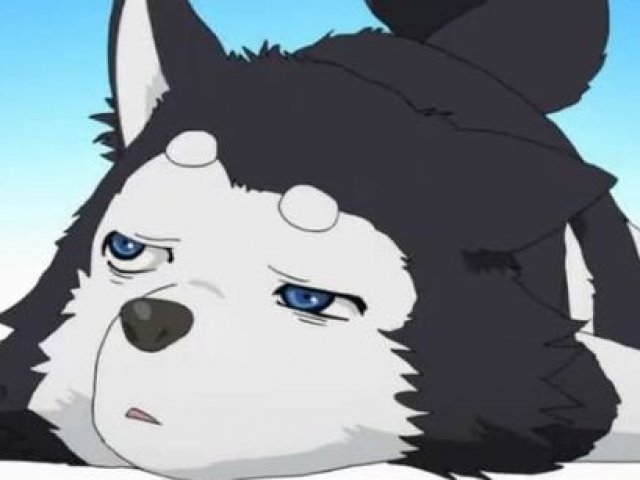 Tem certeza que viu o anime todo? Vá ver que é melhor!