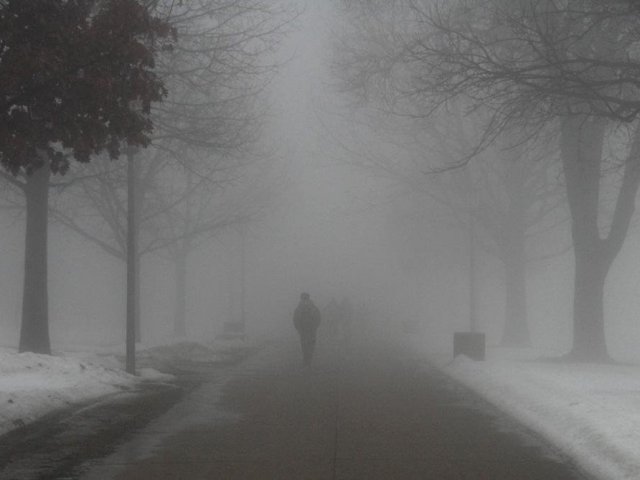 Neblina