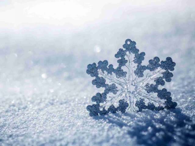 Neve