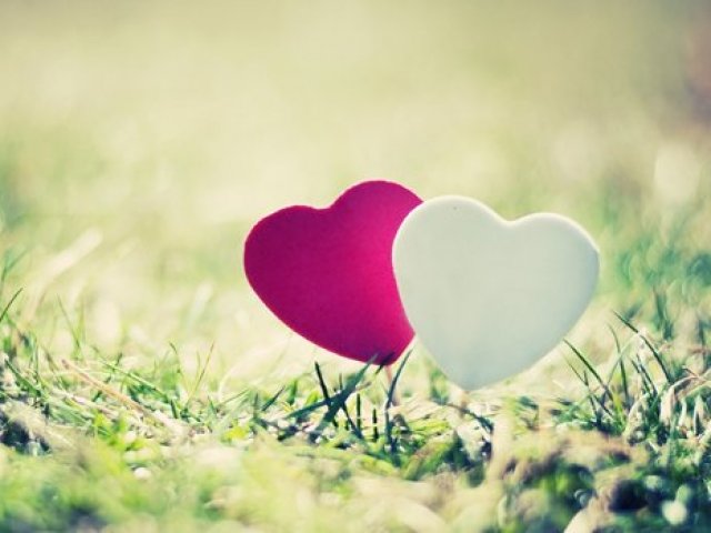 Amor