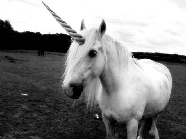Unicórnio