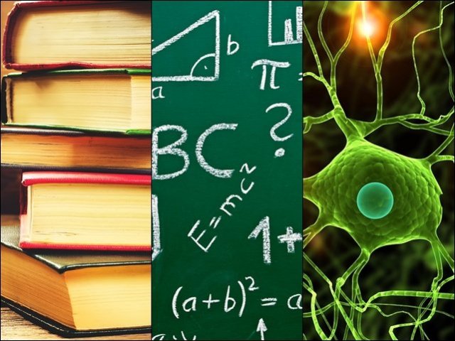 Humanas, Exatas ou Biológicas: Qual Área de Atuação mais combina com você?