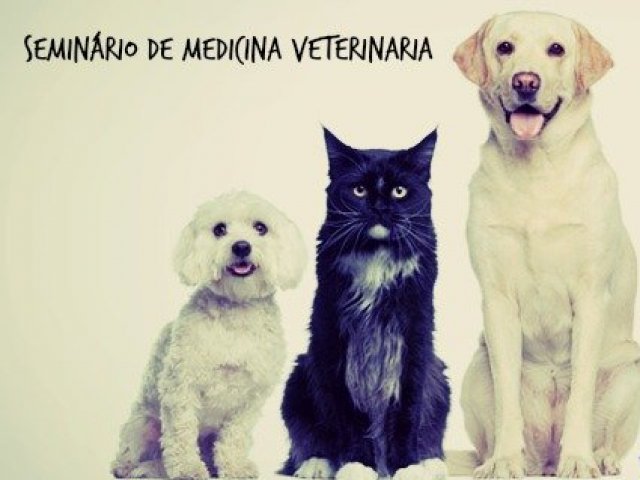 Veterinário