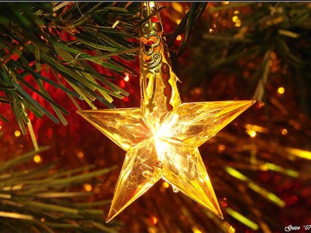 Estrela de Natal