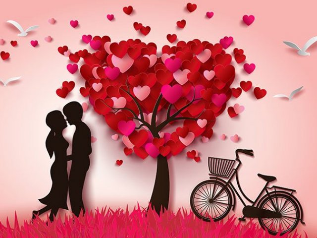 Amor