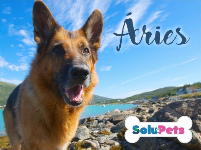 Áries