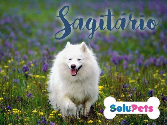 Sagitário