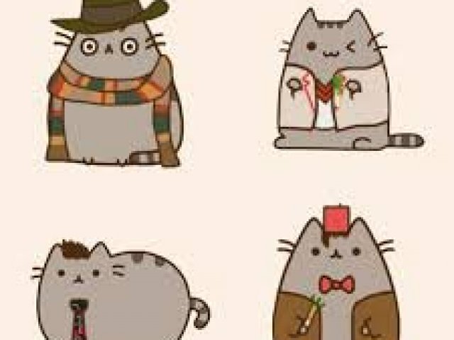 Pusheen modinha
