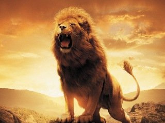 Aslan