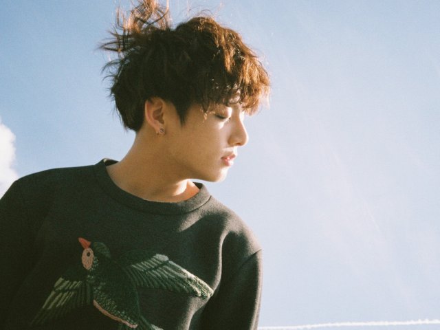 Você não é muito atento quanto aos detalhes, e prefere curtir a música enquanto vai dar uma olhada nos comentários esperando que a câmera dê aquele close especial no bias. (Imagens de Idols aleatórios, nenhuma relação com o resultado)