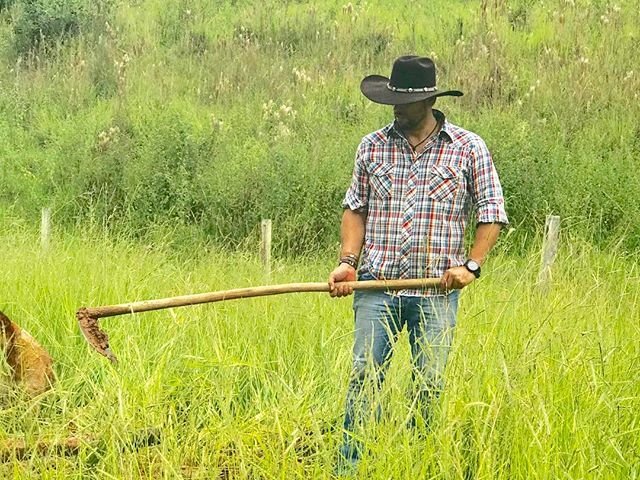Cowboy bruto e sistemático