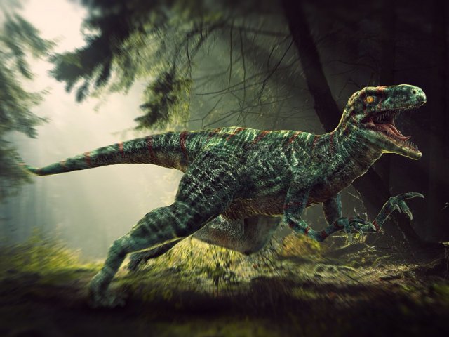 Velociraptor
