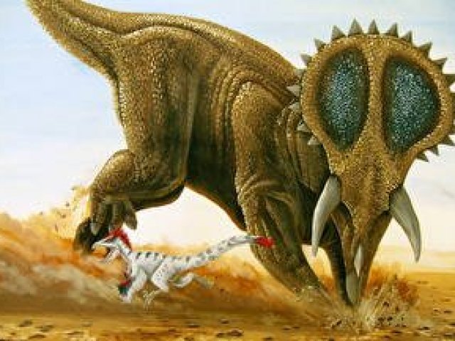 Triceratops