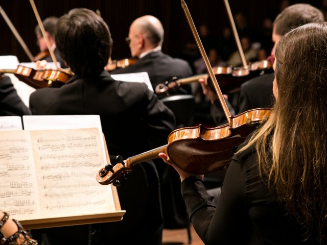 Músico