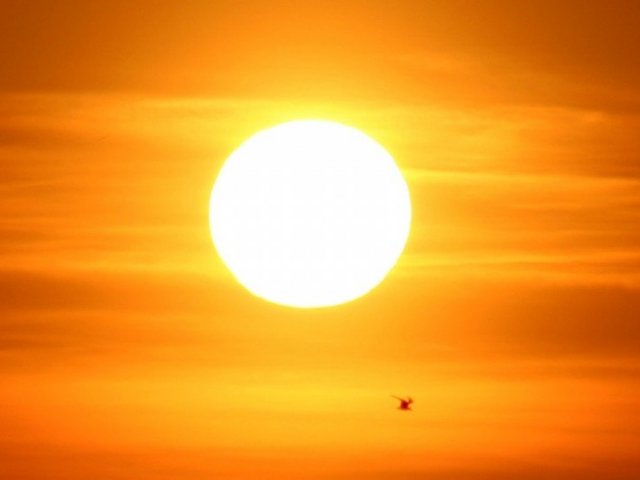 100% Sol