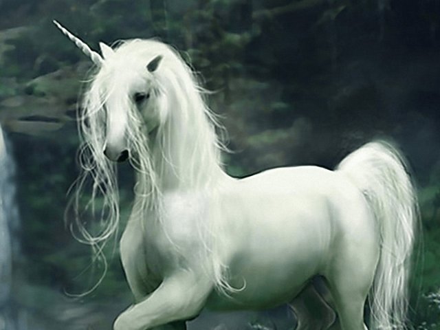 Unicornio