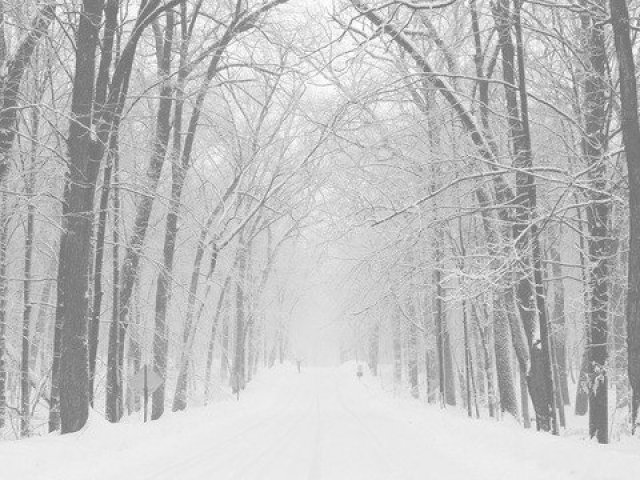 Inverno