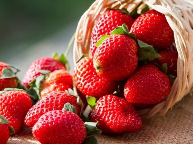 Morango
