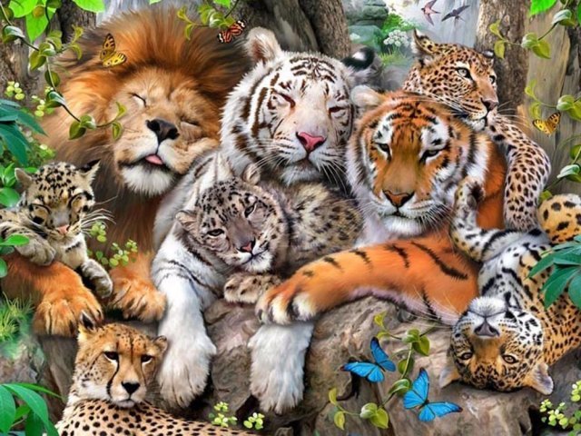 Qual felino você seria?