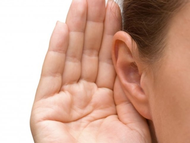 Audição