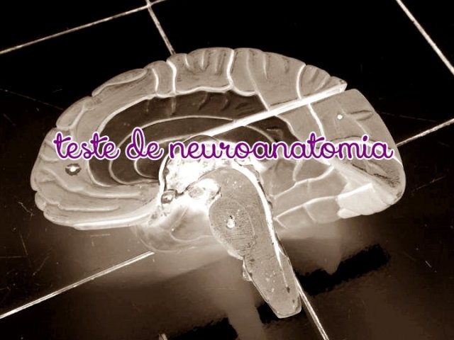 Neuroanatomia Prática