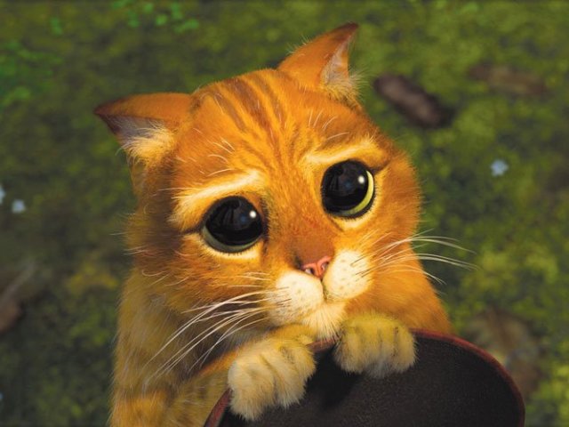 Gato de botas