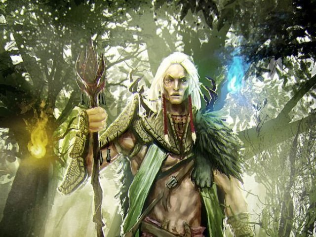 Druida