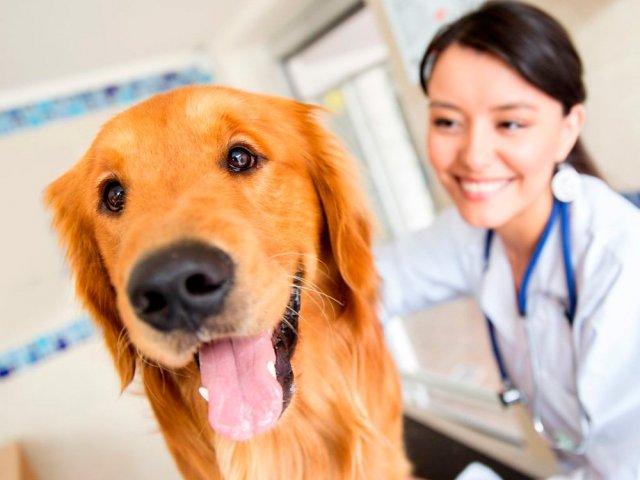 Veterinário(a)