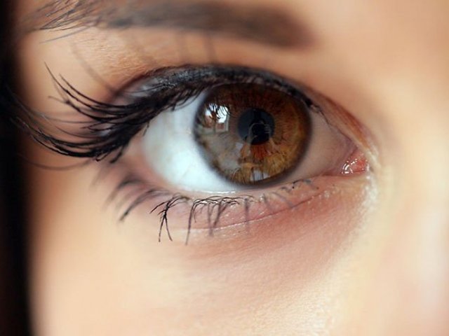 50% Observador(a)
