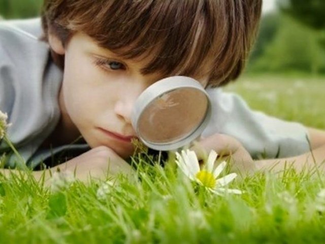 75% Observador(a)