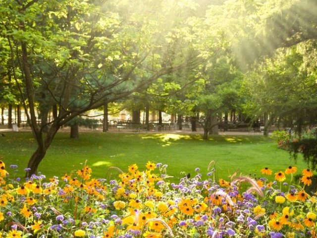 Primavera