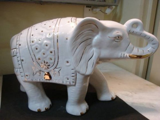 Elefante branco