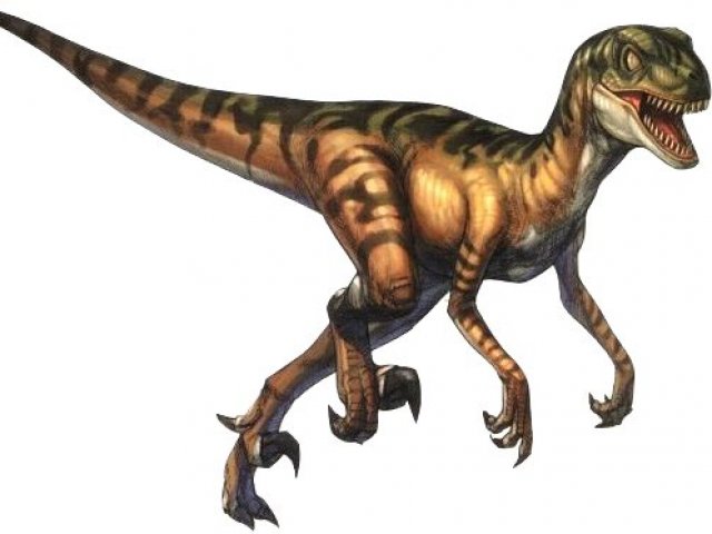 2. Velociraptor