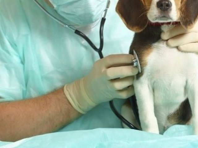Veterinário(a)!