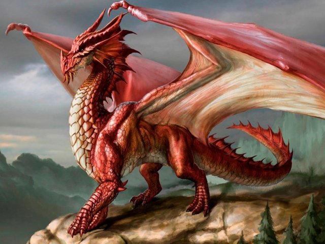 Dragão