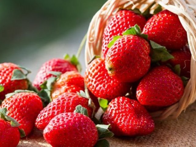 Morango