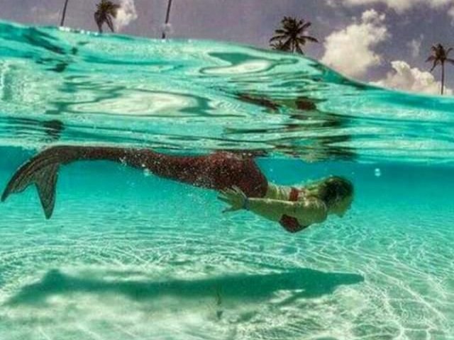 Sereia