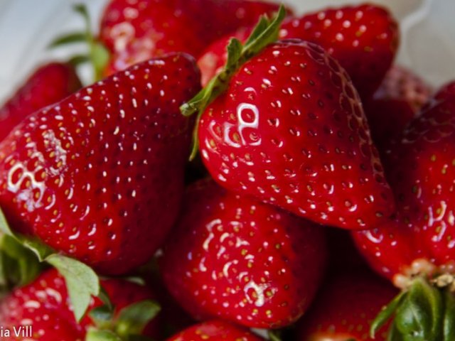Morango