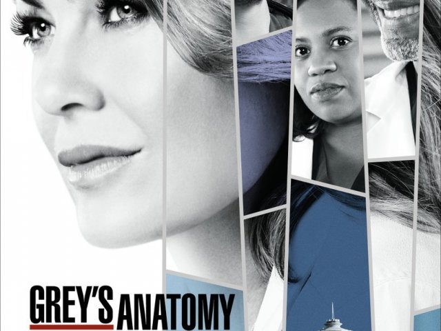 Super Quiz Grey's Anatomy - 1º/14º temporada.