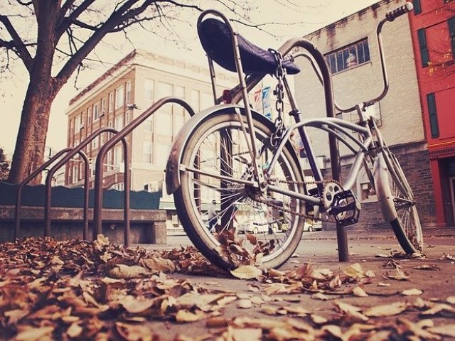Bicicleta
