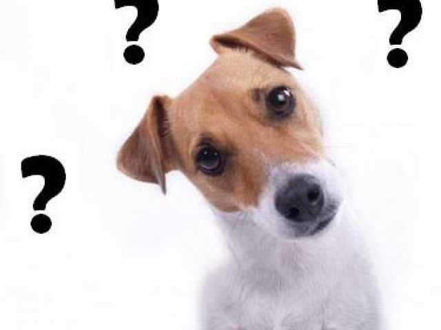 Bom você gosta de animais mas não tanto
