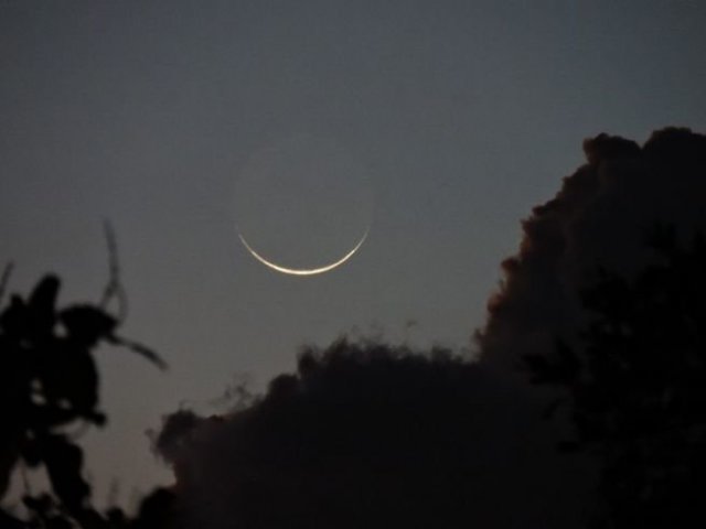 Lua nova