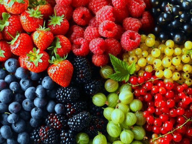 Qual fruta você seria?