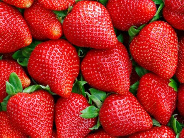 Morango