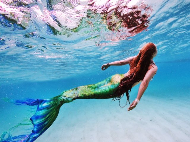 Sereia