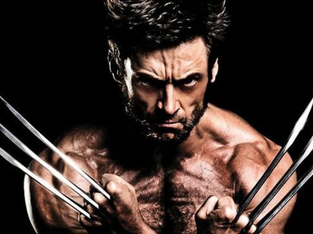 Wolverine